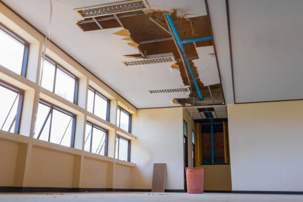 Best Water damage cleanup near me  in Woodsville, NH