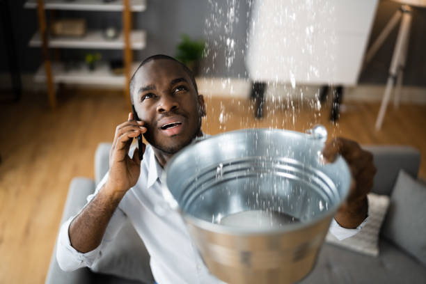 Best Local water damage restoration  in Woodsville, NH