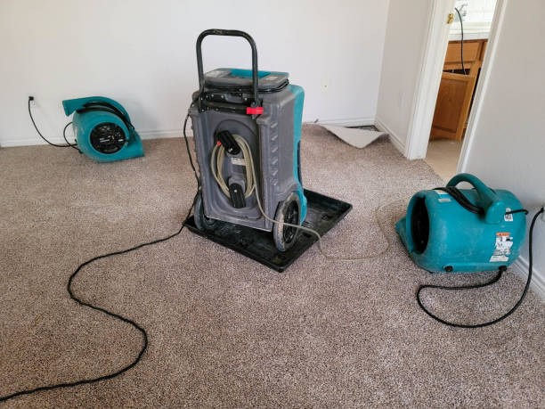 Sewage cleanup and water damage restoration in NH