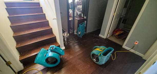 Best Local water damage restoration  in Woodsville, NH