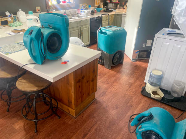 Best Residential water damage restoration  in Woodsville, NH