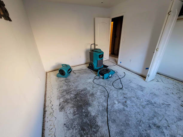 Best Professional water damage repair  in Woodsville, NH