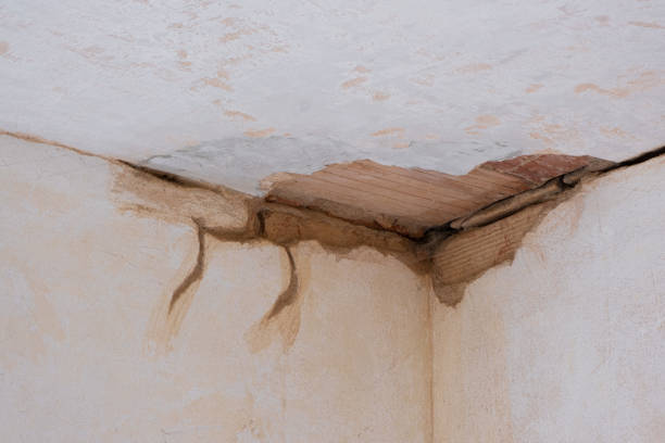 Best Basement water damage restoration  in Woodsville, NH