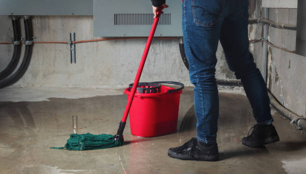 Best Sewage cleanup and water damage restoration  in Woodsville, NH