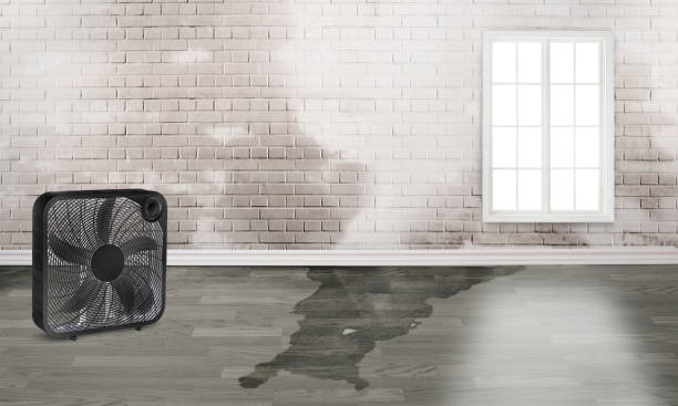 Best Emergency water damage restoration  in Woodsville, NH