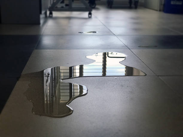 Best Commercial water damage restoration  in Woodsville, NH