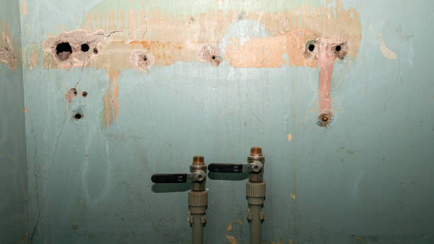 Best Emergency water extraction  in Woodsville, NH