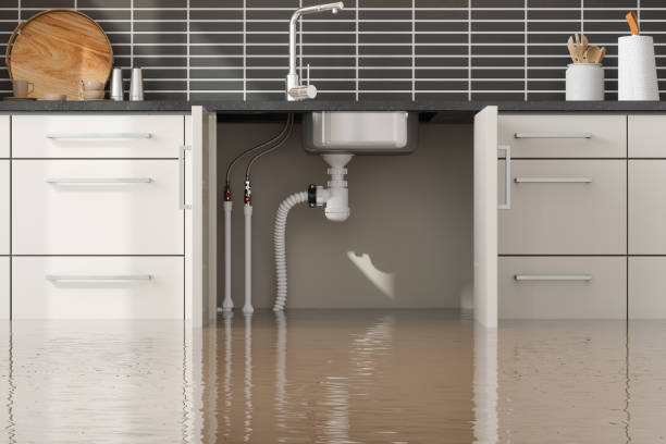 Best Flood damage cleanup  in Woodsville, NH
