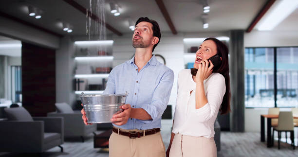 Best Water damage contractors near me  in Woodsville, NH