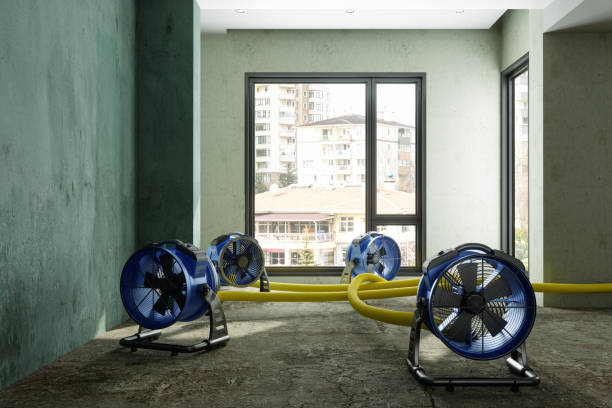 Best Sewage cleanup and water damage restoration  in Woodsville, NH